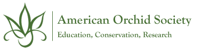 American Orchid Society