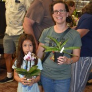  2024 Triangle Orchid Society – Fall For Orchids 8th annual AOS show